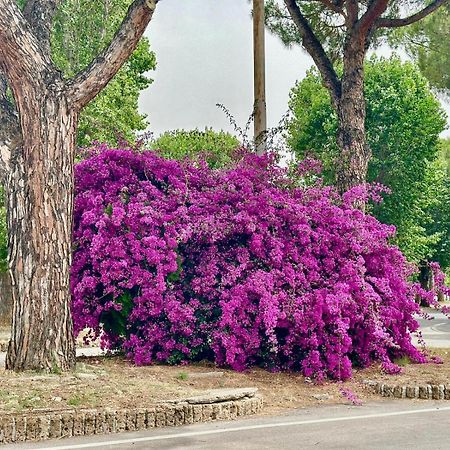 Villa Casa Mila White Marina di Cerveteri Esterno foto