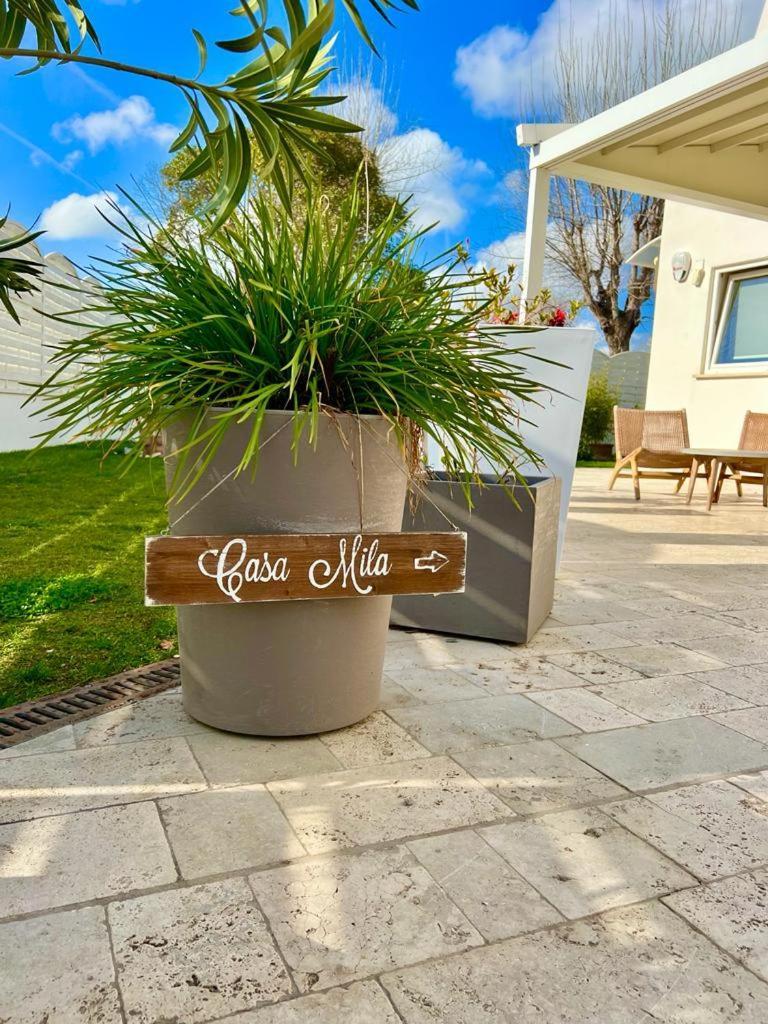 Villa Casa Mila White Marina di Cerveteri Esterno foto
