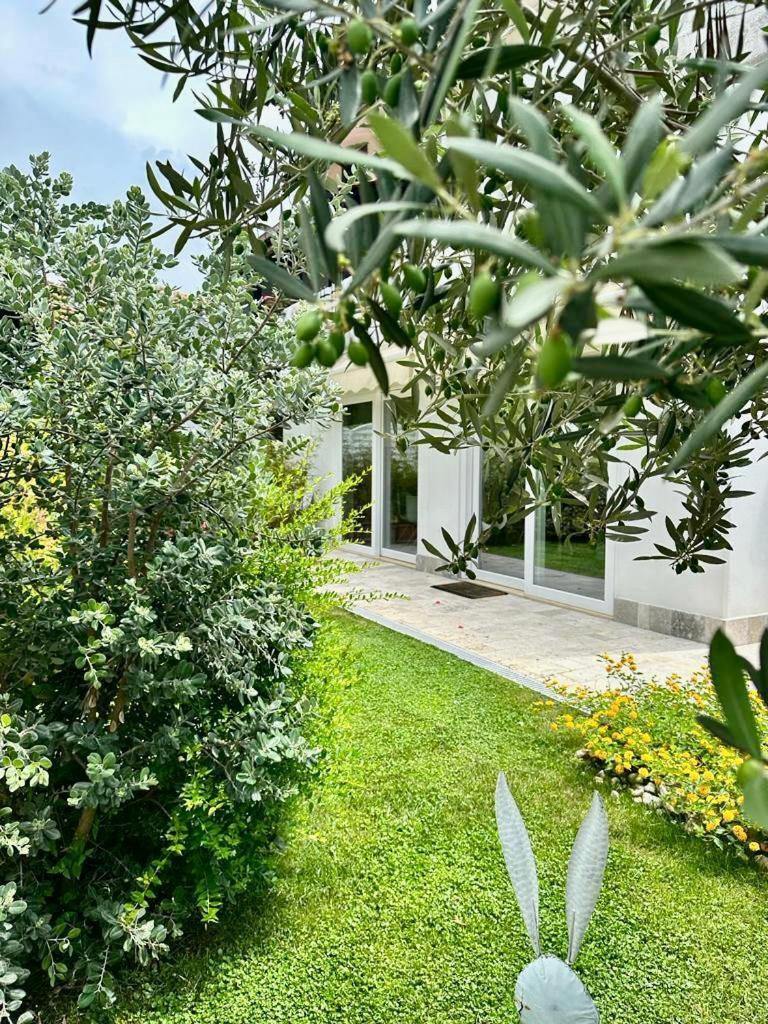 Villa Casa Mila White Marina di Cerveteri Esterno foto