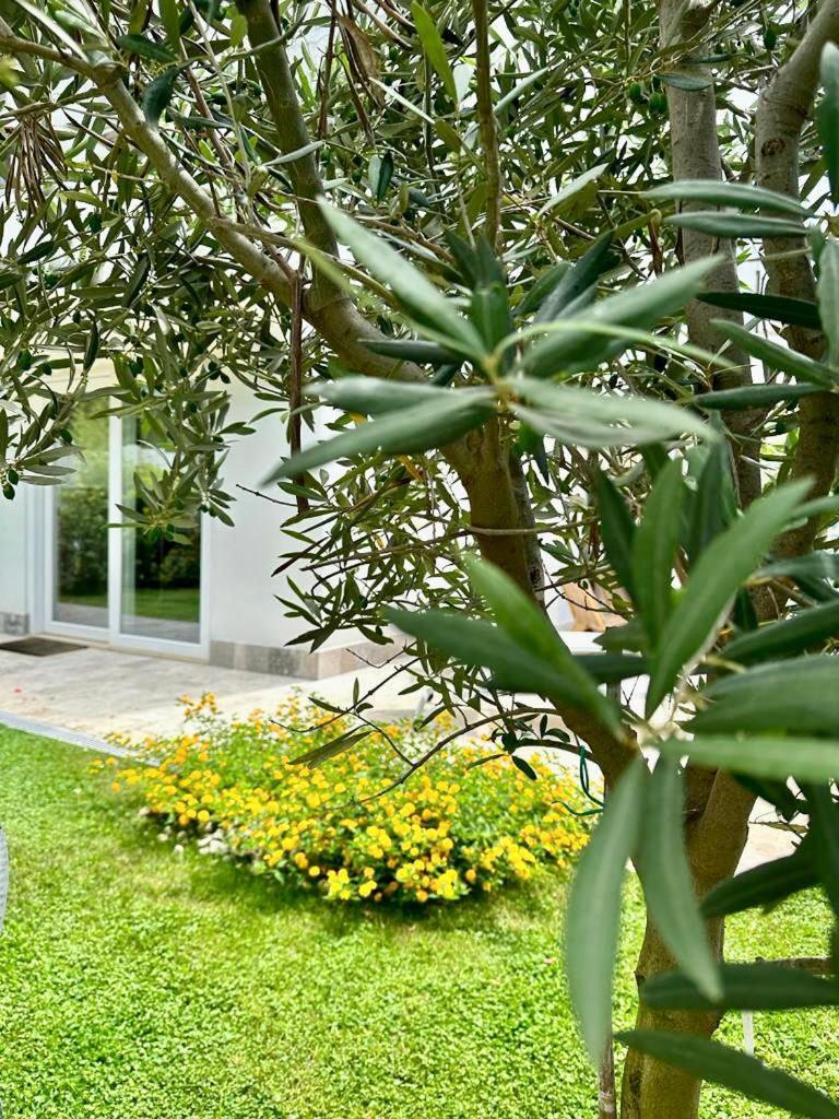 Villa Casa Mila White Marina di Cerveteri Esterno foto